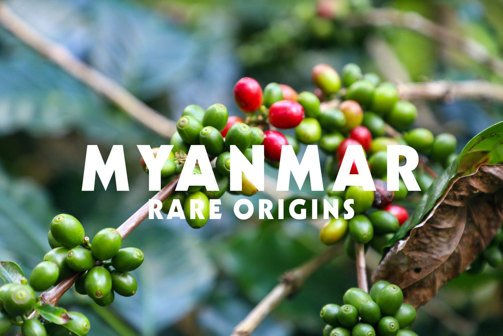 Rare Origins: Myanmar