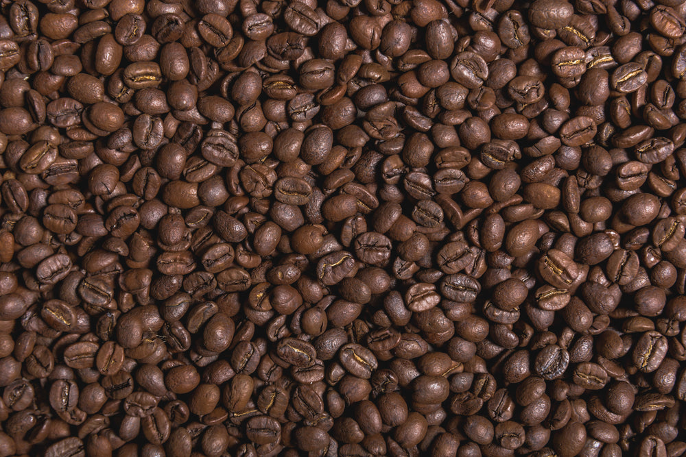 Ugly Mug Coffee Roasters