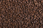 Ugly Mug Coffee Roasters